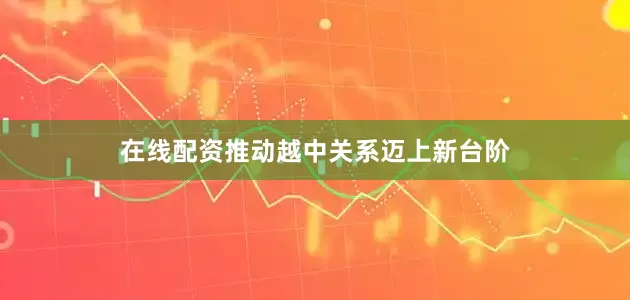 在线配资推动越中关系迈上新台阶