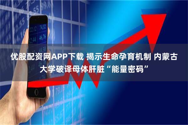 优股配资网APP下载 揭示生命孕育机制 内蒙古大学破译母体肝脏“能量密码”