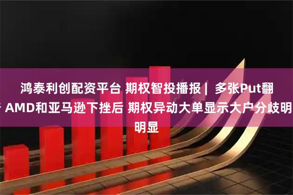 鸿泰利创配资平台 期权智投播报 |  多张Put翻倍 AMD和亚马逊下挫后 期权异动大单显示大户分歧明显