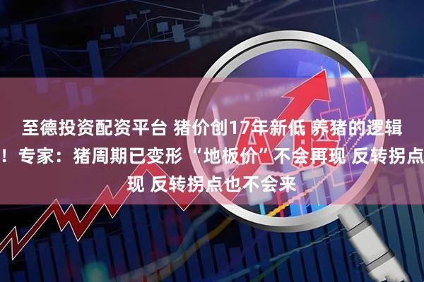 至德投资配资平台 猪价创17年新低 养猪的逻辑彻底变了！专家：猪周期已变形 “地板价”不会再现 反转拐点也不会来